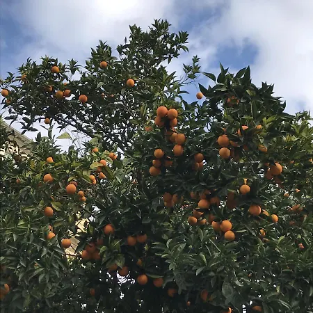 D'hotes Casa Musa - نيس