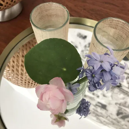 D'hotes Casa Musa - *