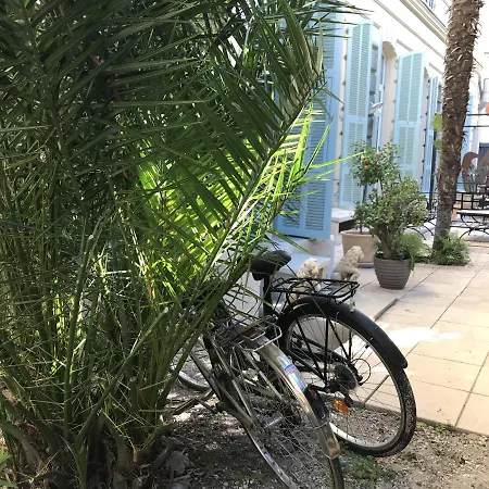 D'hôtes Casa Musa - Alojamento de Acomodação e Pequeno-almoço *