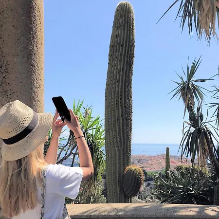 住宿加早餐酒店 D'hotes Casa Musa - *